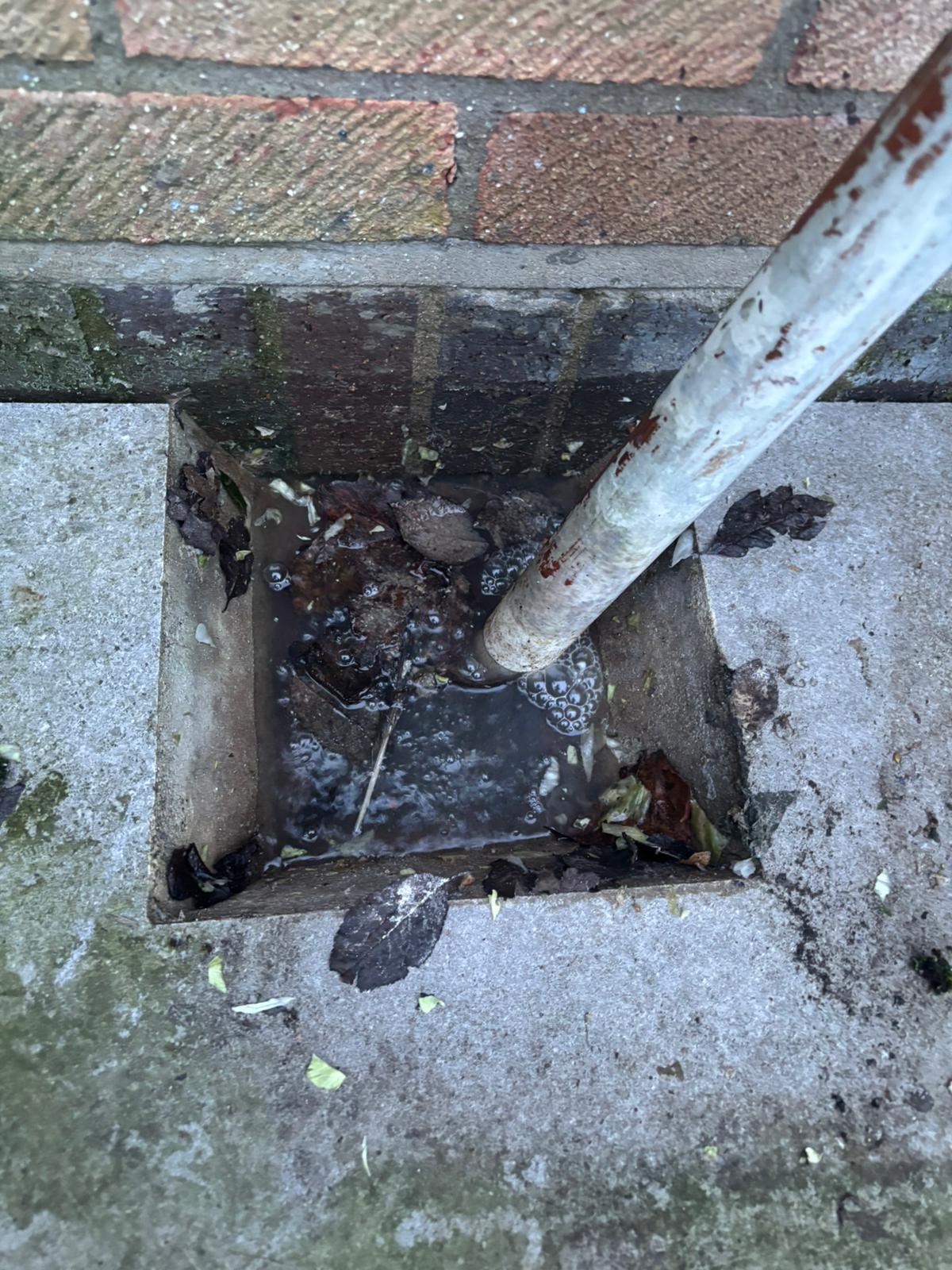 WhatsApp Image 2025 02 03 at 21.20.47